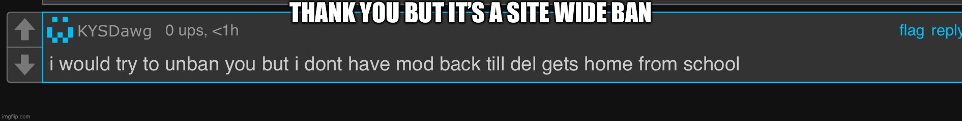 This is a annoying way to reply to comments | THANK YOU BUT IT’S A SITE WIDE BAN | made w/ Imgflip meme maker