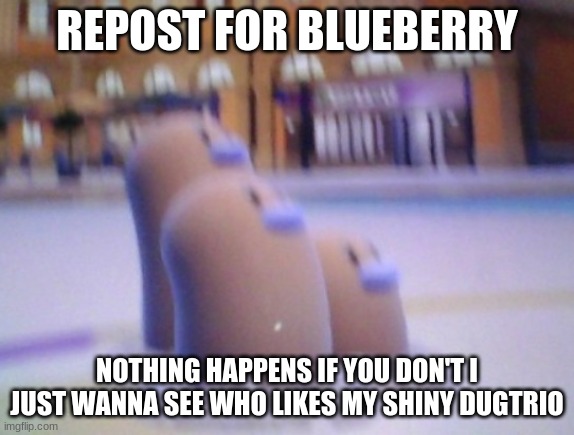 bh | REPOST FOR BLUEBERRY; NOTHING HAPPENS IF YOU DON'T I JUST WANNA SEE WHO LIKES MY SHINY DUGTRIO | made w/ Imgflip meme maker