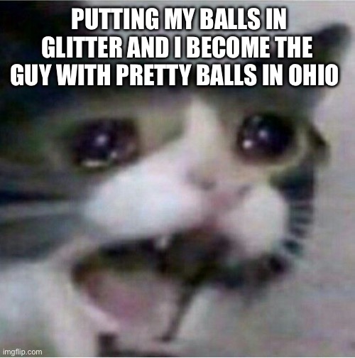 crying cat | PUTTING MY BALLS IN GLITTER AND I BECOME THE GUY WITH PRETTY BALLS IN OHIO | image tagged in crying cat | made w/ Imgflip meme maker