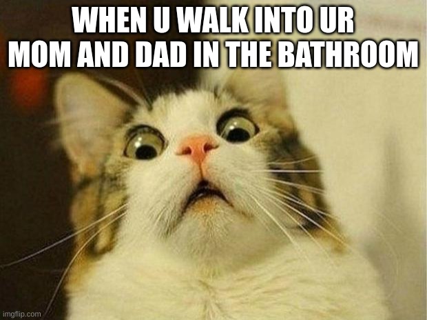 Scared Cat Meme | WHEN U WALK INTO UR MOM AND DAD IN THE BATHROOM | image tagged in memes,scared cat | made w/ Imgflip meme maker