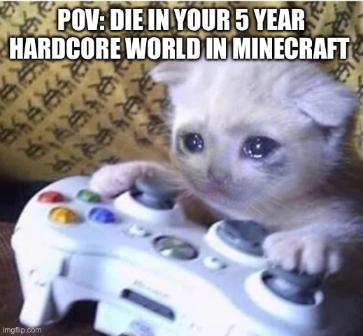 Sad gaming cat | POV: DIE IN YOUR 5 YEAR HARDCORE WORLD IN MINECRAFT | image tagged in sad gaming cat | made w/ Imgflip meme maker