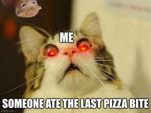 :( | ME; SOMEONE ATE THE LAST PIZZA BITE | image tagged in memes,scared cat | made w/ Imgflip meme maker