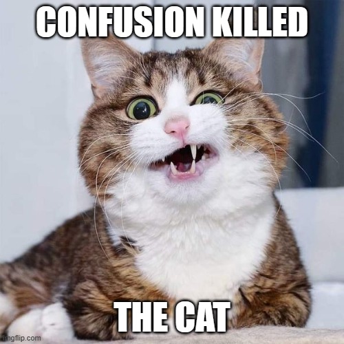 I don't think that was the saying | CONFUSION KILLED; THE CAT | image tagged in confused cat,visible confusion | made w/ Imgflip meme maker