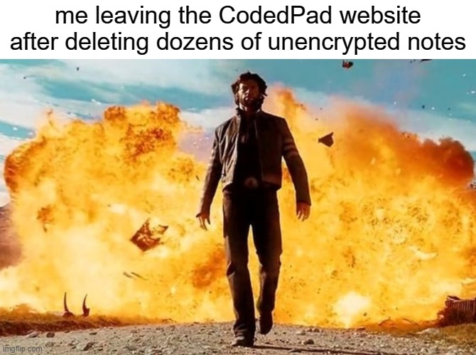 a tad bit of tomfoolery | me leaving the CodedPad website after deleting dozens of unencrypted notes | image tagged in guy walking away from explosion | made w/ Imgflip meme maker