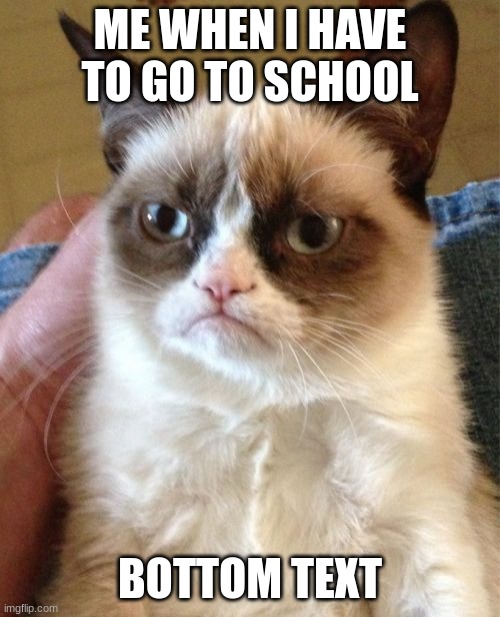 Grumpy Cat Meme | ME WHEN I HAVE TO GO TO SCHOOL; BOTTOM TEXT | image tagged in memes,grumpy cat | made w/ Imgflip meme maker