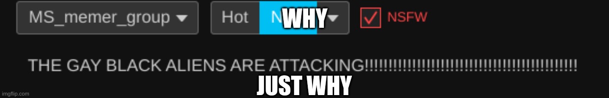 why | WHY; JUST WHY | image tagged in why,just why | made w/ Imgflip meme maker