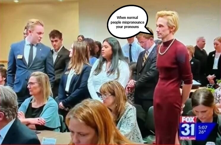 My pronouns are dick and woody. | image tagged in dick,woody,mangina,pronouns,dick jokes,dickhead | made w/ Imgflip meme maker