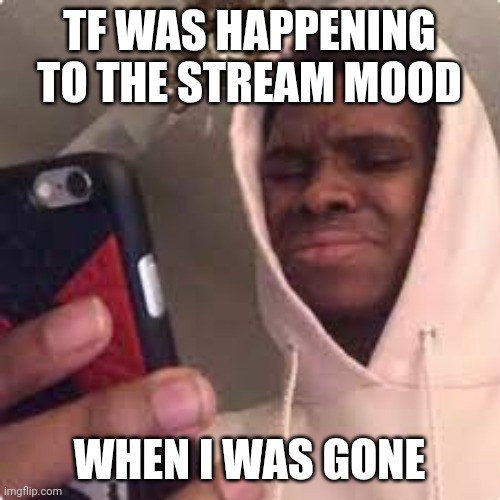 bro what | TF WAS HAPPENING TO THE STREAM MOOD; WHEN I WAS GONE | image tagged in bro what | made w/ Imgflip meme maker