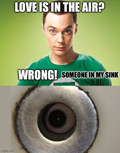 LOVE IS IN THE AIR? WRONG! SOMEONE IN MY SINK | image tagged in sheldon cooper | made w/ Imgflip meme maker