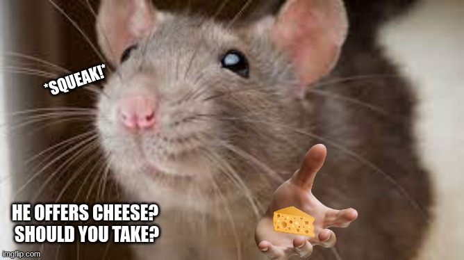 Cheese? | *SQUEAK!*; HE OFFERS CHEESE? 
SHOULD YOU TAKE? | image tagged in cheese | made w/ Imgflip meme maker