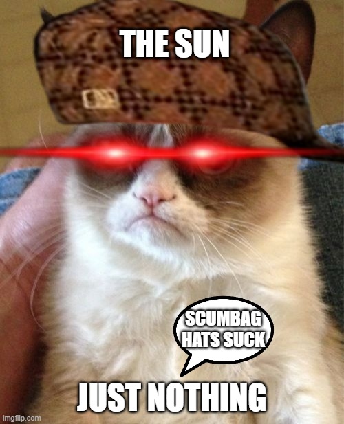 Grumpy Cat Meme | THE SUN; SCUMBAG HATS SUCK; JUST NOTHING | image tagged in memes,grumpy cat | made w/ Imgflip meme maker