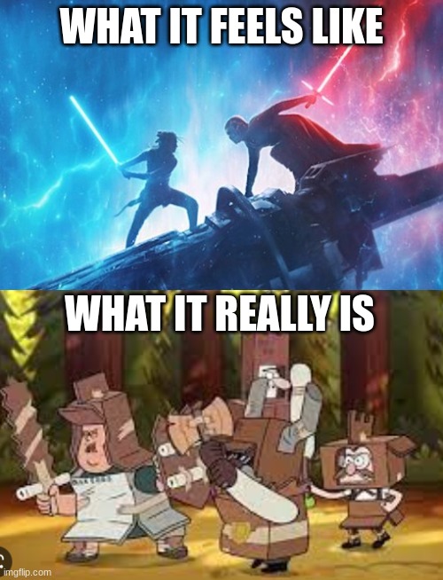 just trust me on this one | WHAT IT FEELS LIKE; WHAT IT REALLY IS | image tagged in fun,gravity falls,star wars | made w/ Imgflip meme maker