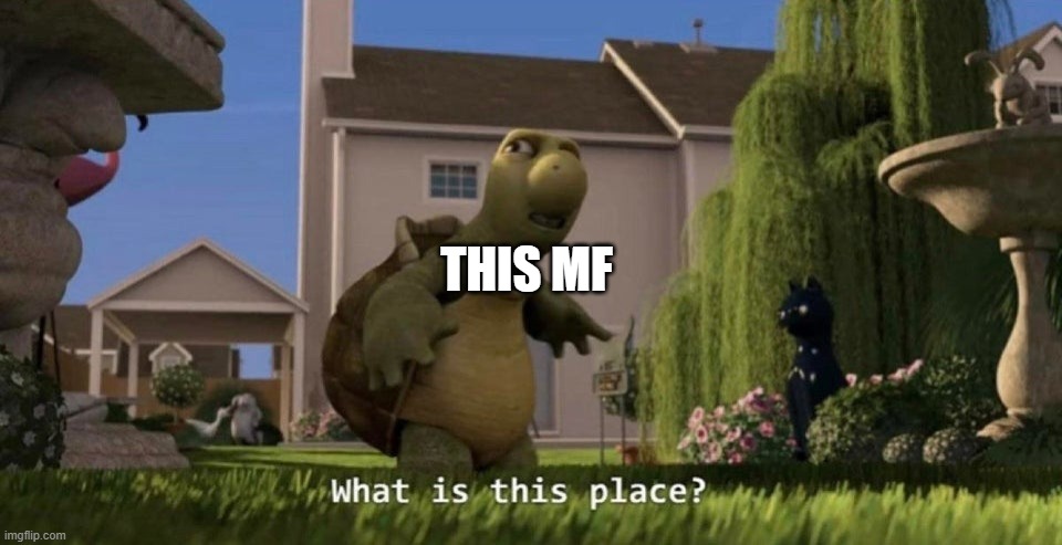 What is this place | THIS MF | image tagged in what is this place | made w/ Imgflip meme maker