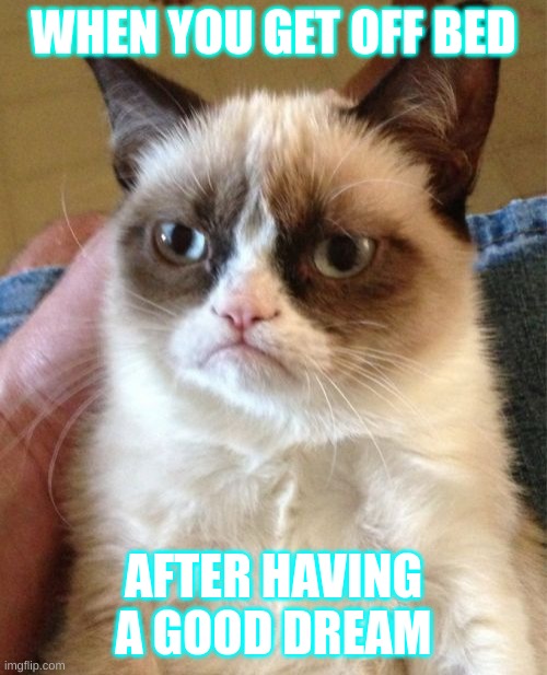 Grumpy Cat Meme | WHEN YOU GET OFF BED; AFTER HAVING A GOOD DREAM | image tagged in memes,grumpy cat | made w/ Imgflip meme maker