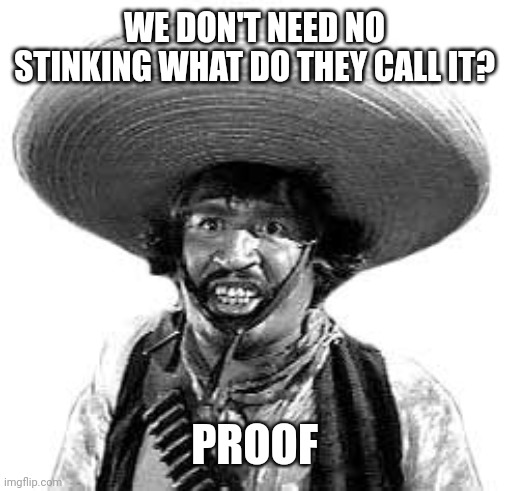 Badges we dont need no stinking badges | WE DON'T NEED NO STINKING WHAT DO THEY CALL IT? PROOF | image tagged in badges we dont need no stinking badges | made w/ Imgflip meme maker