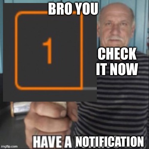 CHECK NOTIFICATIONS NOW | BRO YOU; CHECK IT NOW | image tagged in have a notification,notifiy,idk | made w/ Imgflip meme maker