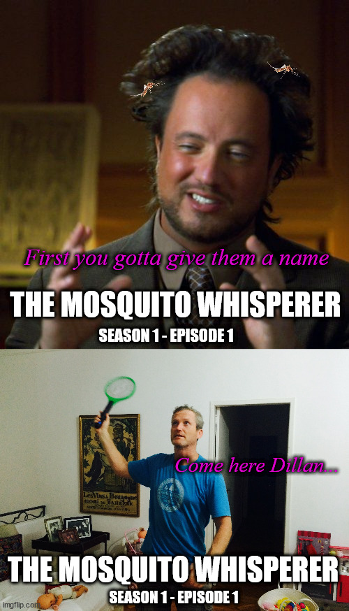 Mosquito whisperer | First you gotta give them a name; THE MOSQUITO WHISPERER; SEASON 1 - EPISODE 1; Come here Dillan... THE MOSQUITO WHISPERER; SEASON 1 - EPISODE 1 | image tagged in ancient aliens,mosquito whisperer,season 1 mosquito,come here dillan | made w/ Imgflip meme maker