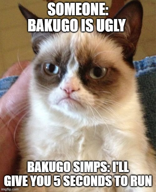 Grumpy Cat | SOMEONE: BAKUGO IS UGLY; BAKUGO SIMPS: I'LL GIVE YOU 5 SECONDS TO RUN | image tagged in memes,grumpy cat | made w/ Imgflip meme maker