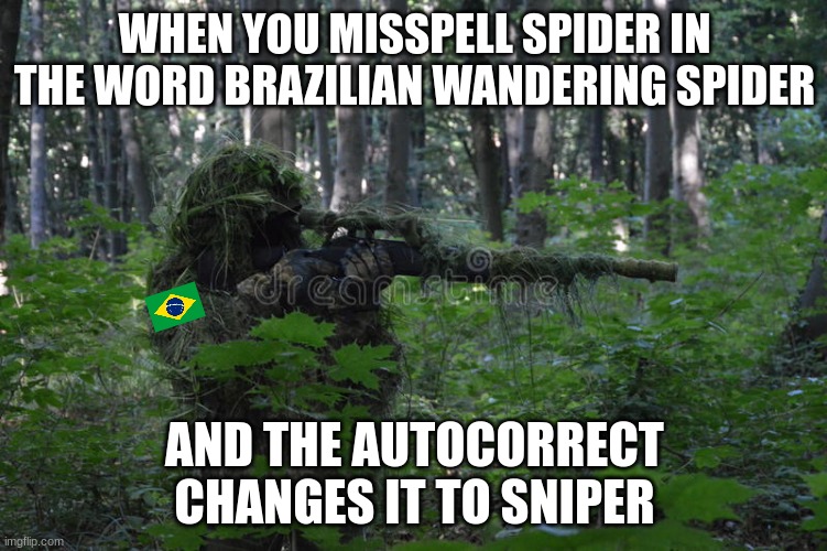 misspelling can be dangerous | WHEN YOU MISSPELL SPIDER IN THE WORD BRAZILIAN WANDERING SPIDER; AND THE AUTOCORRECT CHANGES IT TO SNIPER | image tagged in sniper,brazil | made w/ Imgflip meme maker
