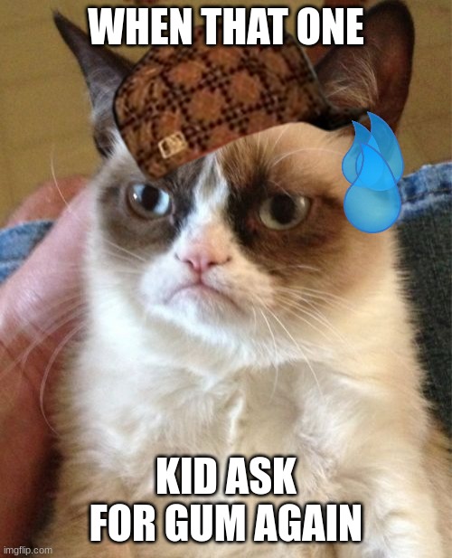 Grumpy Cat Meme | WHEN THAT ONE; KID ASK FOR GUM AGAIN | image tagged in memes,grumpy cat | made w/ Imgflip meme maker