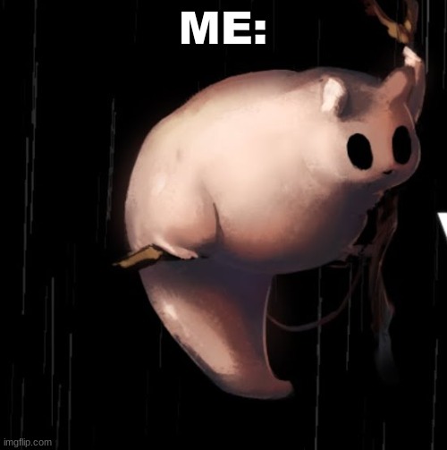 rotund creature | ME: | image tagged in rotund creature | made w/ Imgflip meme maker