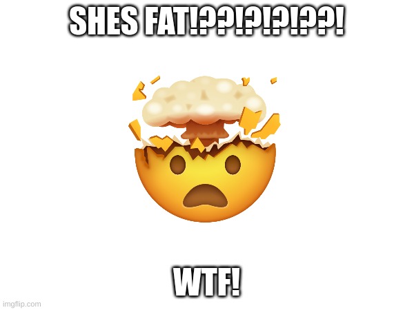 SHES FAT!??!?!?!??! WTF! | made w/ Imgflip meme maker