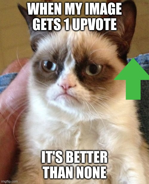 no memeses | WHEN MY IMAGE GETS 1 UPVOTE; IT'S BETTER THAN NONE | image tagged in memes,grumpy cat | made w/ Imgflip meme maker
