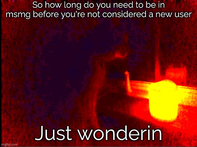 Cat with candle | So how long do you need to be in msmg before you're not considered a new user; Just wonderin | image tagged in cat with candle | made w/ Imgflip meme maker