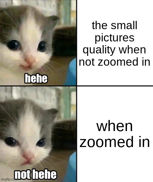 ahhhh, a nice picture. THAT IS NO LEGAL | the small pictures quality when not zoomed in; when zoomed in | image tagged in cute cat hehe and not hehe | made w/ Imgflip meme maker