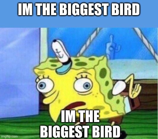 Mocking Spongebob | IM THE BIGGEST BIRD; IM THE BIGGEST BIRD | image tagged in memes,mocking spongebob | made w/ Imgflip meme maker