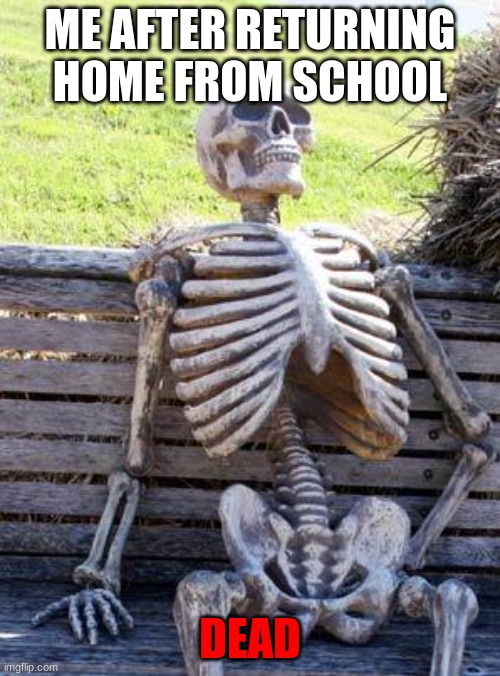 Waiting Skeleton | ME AFTER RETURNING HOME FROM SCHOOL; DEAD | image tagged in memes,waiting skeleton | made w/ Imgflip meme maker