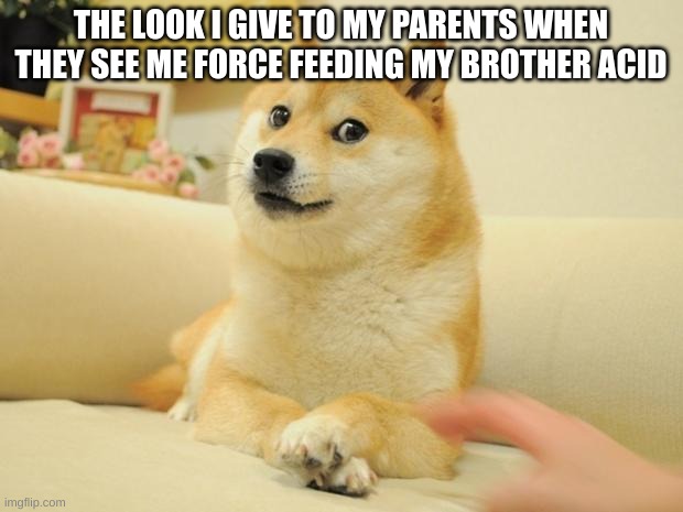 ITS NOT WHAT IT LOOKS LIKE | THE LOOK I GIVE TO MY PARENTS WHEN THEY SEE ME FORCE FEEDING MY BROTHER ACID | image tagged in memes,doge 2 | made w/ Imgflip meme maker