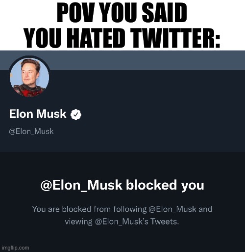 When you don’t buy a Tesla | POV YOU SAID YOU HATED TWITTER: | image tagged in twitter,elon musk,pov,blocked | made w/ Imgflip meme maker