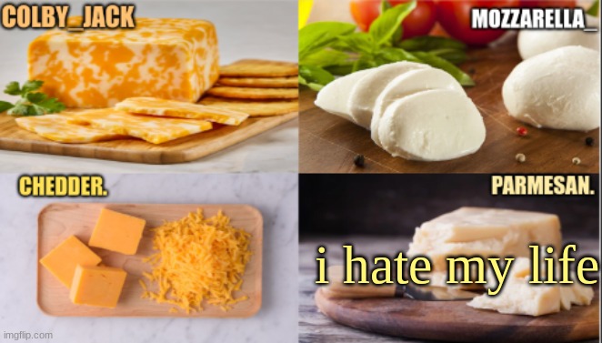 The Cheese Temp | i hate my life | image tagged in the cheese temp | made w/ Imgflip meme maker