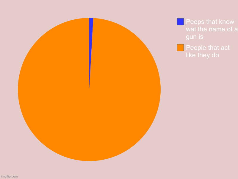 Guns | People that act like they do, Peeps that know wat the name of a gun is | image tagged in charts,pie charts | made w/ Imgflip chart maker