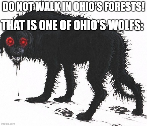 Ohio's wolfs | THAT IS ONE OF OHIO'S WOLFS:; DO NOT WALK IN OHIO'S FORESTS! | image tagged in memes,ohio | made w/ Imgflip meme maker