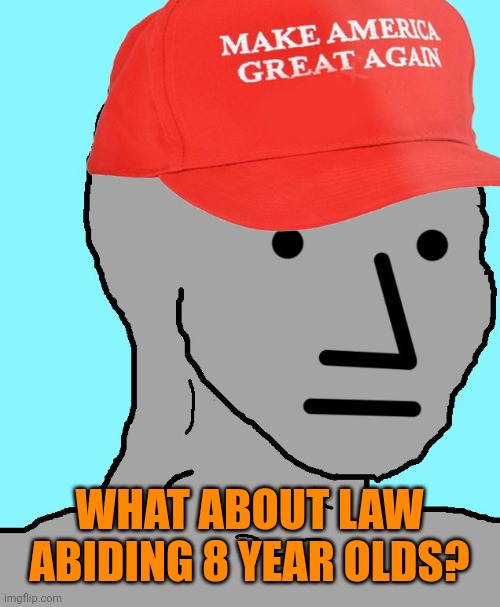 MAGA NPC | WHAT ABOUT LAW ABIDING 8 YEAR OLDS? | image tagged in maga npc | made w/ Imgflip meme maker