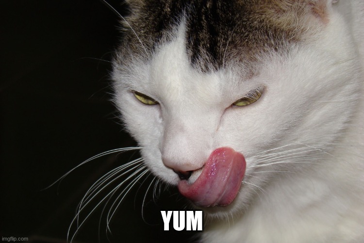YUMMY | YUM | image tagged in yummy | made w/ Imgflip meme maker