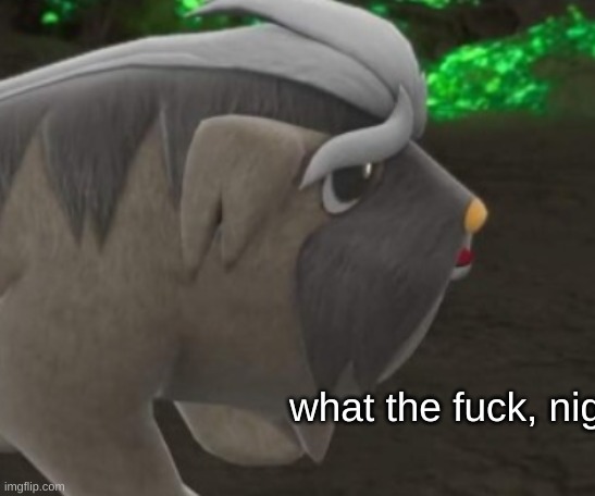 what the fuck, nig | made w/ Imgflip meme maker