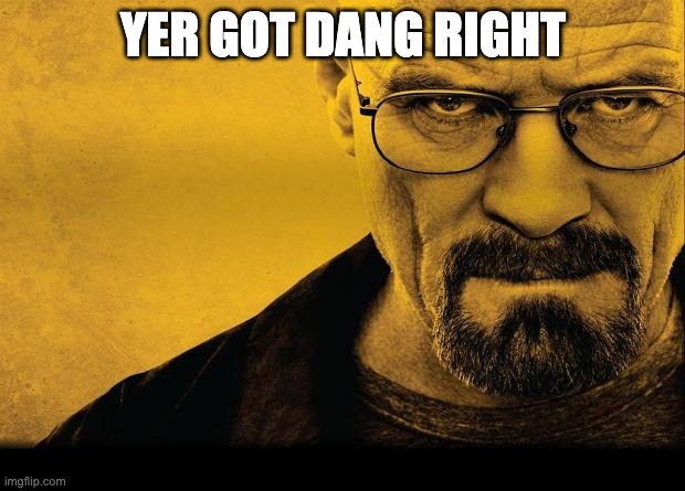 YER GOT DANG RIGHT | image tagged in breaking bad | made w/ Imgflip meme maker