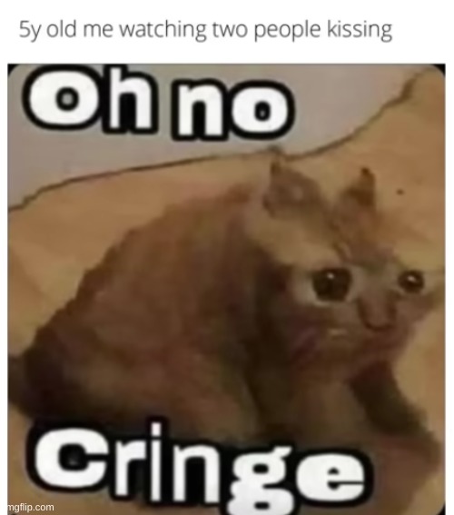 OH NO CRINGE | image tagged in cats | made w/ Imgflip meme maker