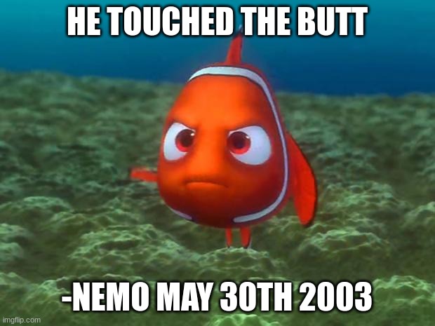 This Was A Suggestion By A Follower | HE TOUCHED THE BUTT; -NEMO MAY 30TH 2003 | image tagged in nemo,why | made w/ Imgflip meme maker