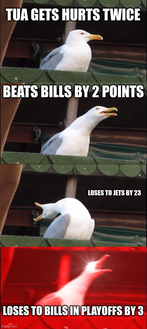Dolphins Season | TUA GETS HURTS TWICE; BEATS BILLS BY 2 POINTS; LOSES TO JETS BY 23; LOSES TO BILLS IN PLAYOFFS BY 3 | image tagged in memes,inhaling seagull | made w/ Imgflip meme maker