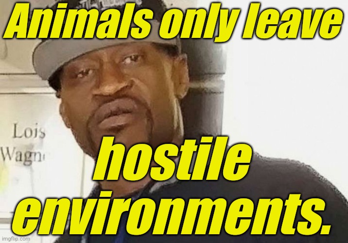 Fentanyl floyd | Animals only leave hostile environments. | image tagged in fentanyl floyd | made w/ Imgflip meme maker