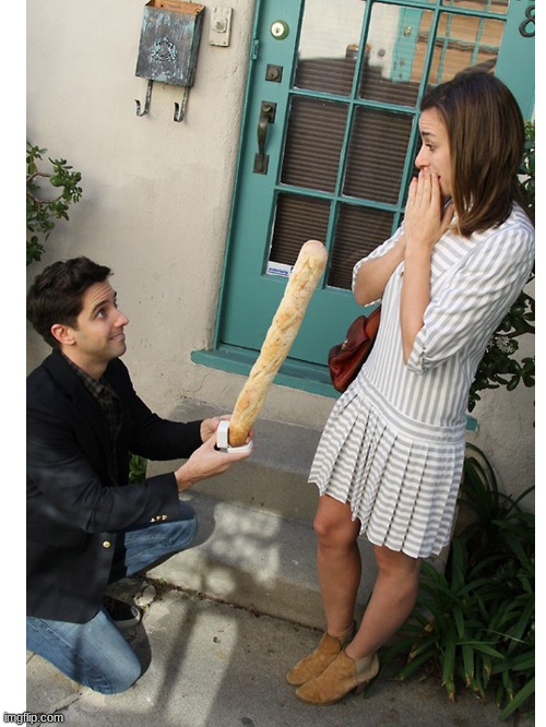 Who can say no to a baguette?? | image tagged in proposal,with,a,baguette | made w/ Imgflip meme maker