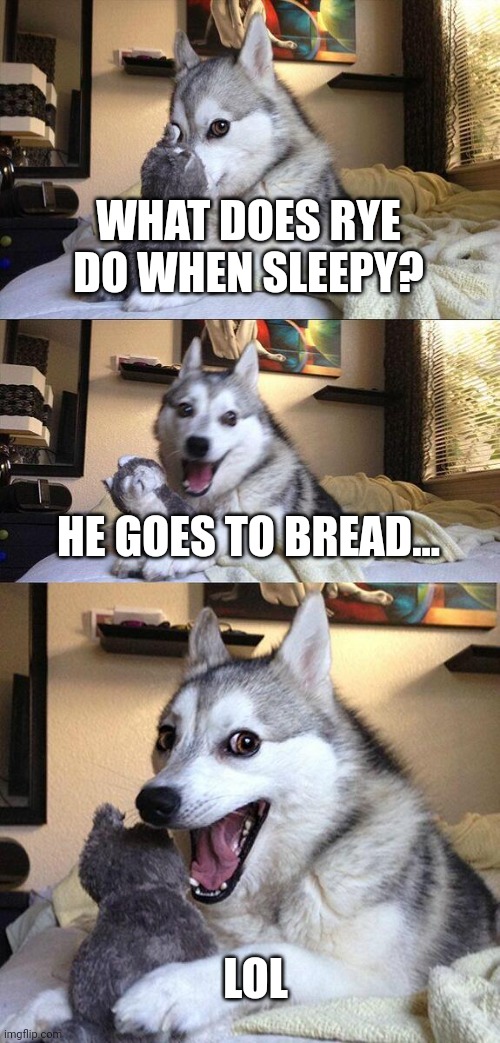 Sleepy rye | WHAT DOES RYE DO WHEN SLEEPY? HE GOES TO BREAD... LOL | image tagged in memes,bad pun dog | made w/ Imgflip meme maker