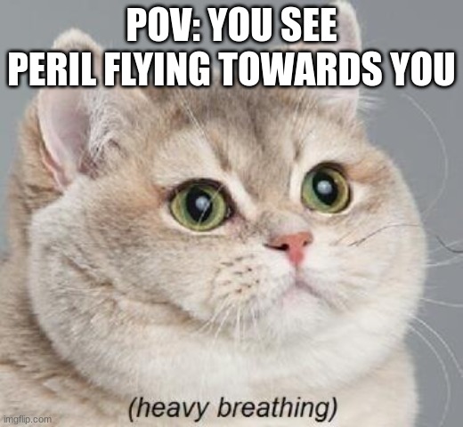 sos | POV: YOU SEE PERIL FLYING TOWARDS YOU | image tagged in memes,heavy breathing cat | made w/ Imgflip meme maker