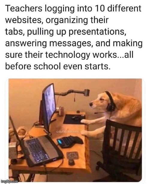 image tagged in teachers,repost,dogs,wholesome,wholesome content,memes | made w/ Imgflip meme maker