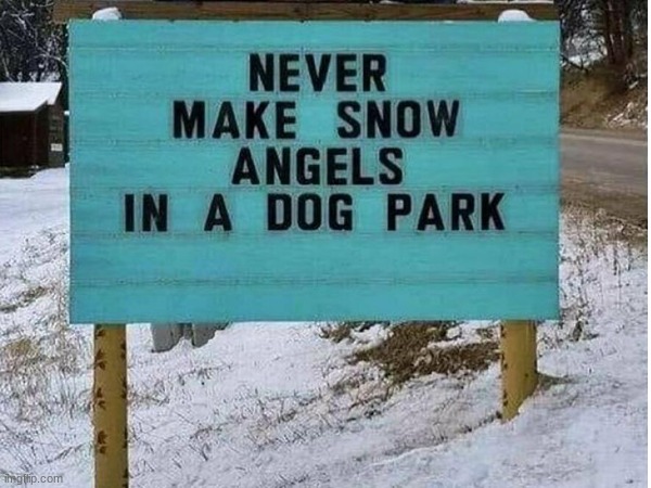 good advice... | image tagged in dogs,yellow snow | made w/ Imgflip meme maker