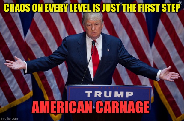 Donald Trump | CHAOS ON EVERY LEVEL IS JUST THE FIRST STEP AMERICAN CARNAGE | image tagged in donald trump | made w/ Imgflip meme maker